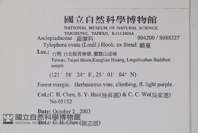 鷗蔓藏品圖，第2張