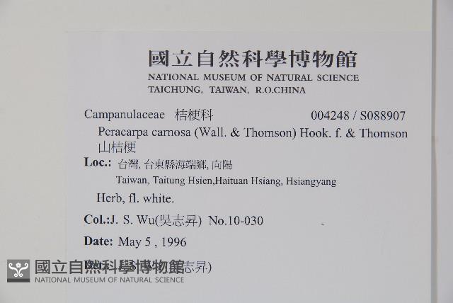 山桔梗藏品圖，第2張