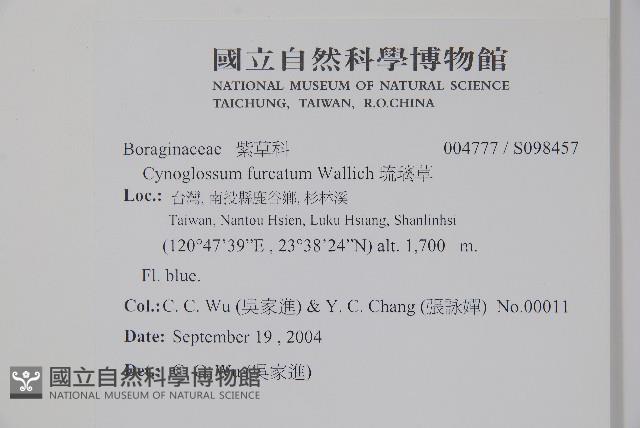 琉璃草藏品圖，第2張