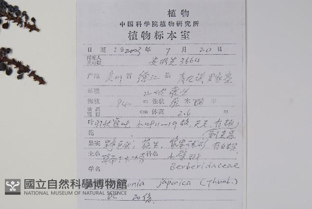 十大功勞藏品圖，第2張