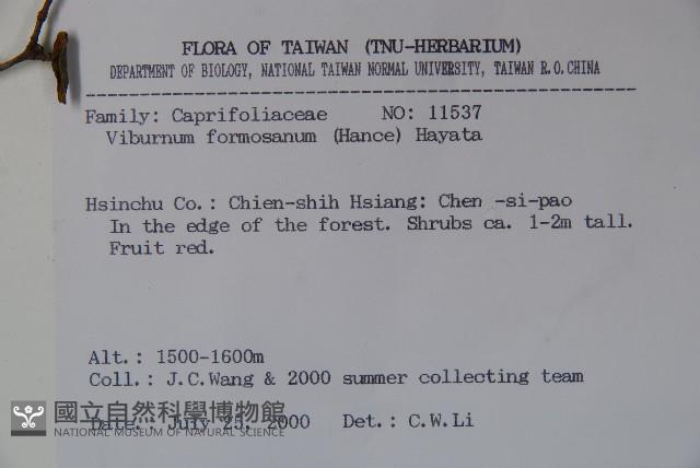 紅子莢迷藏品圖，第2張