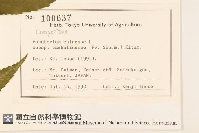 登錄號:S128097藏品圖，第2張