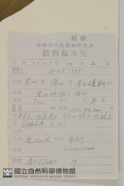 登錄號:S099797藏品圖，第2張