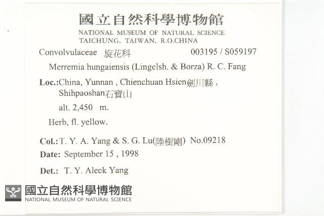 山土瓜藏品圖，第2張