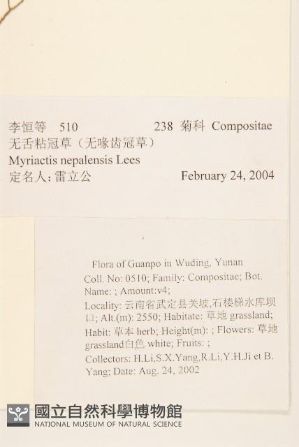 圓舌粘冠草藏品圖，第2張