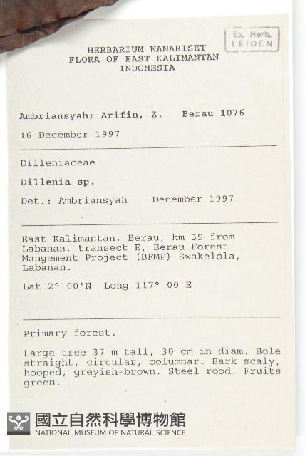 登錄號:S058837藏品圖，第2張