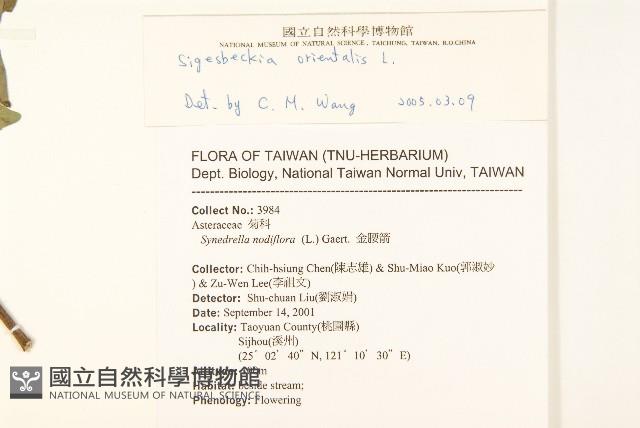 豨薟藏品圖，第2張