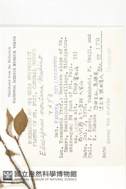 登錄號:S048937藏品圖，第2張