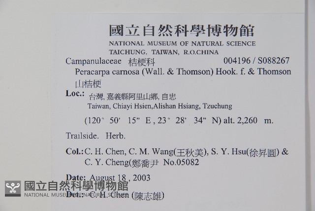 山桔梗藏品圖，第2張