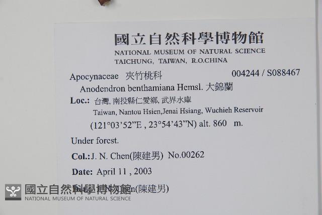 大錦蘭藏品圖，第2張