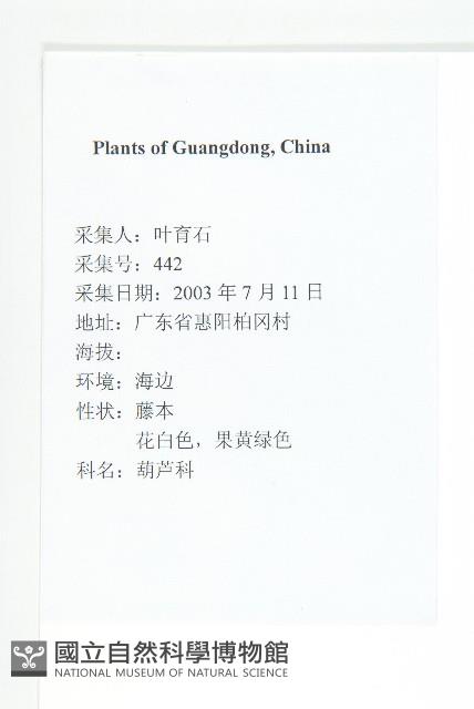 裸瓣瓜藏品圖，第2張