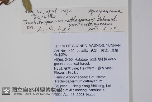 乳兒繩藏品圖，第2張