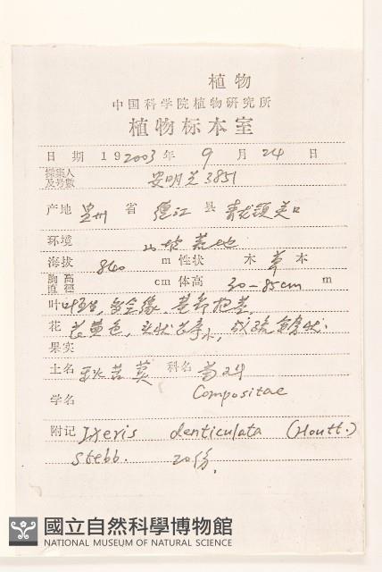 苦實菜藏品圖，第2張