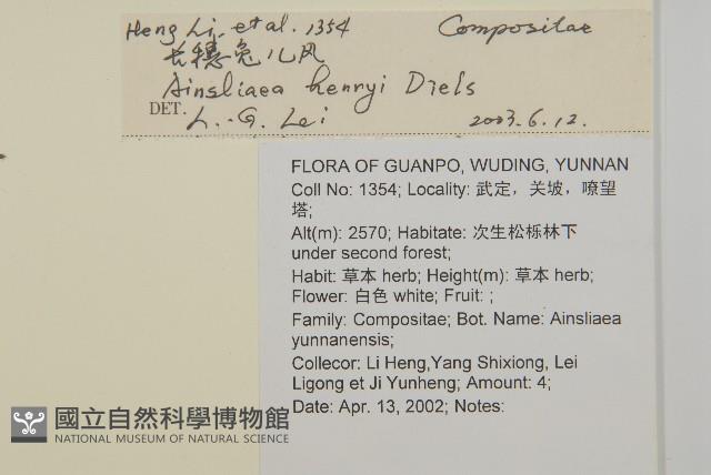 長穗兔兒風藏品圖，第2張