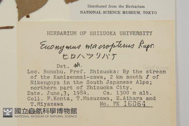 黃瓢子藏品圖，第2張