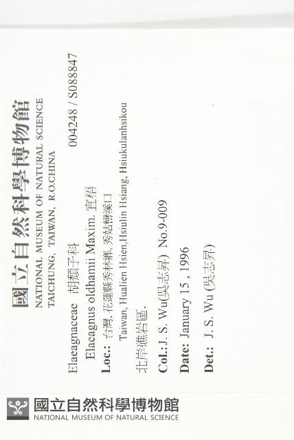 宜梧藏品圖，第2張