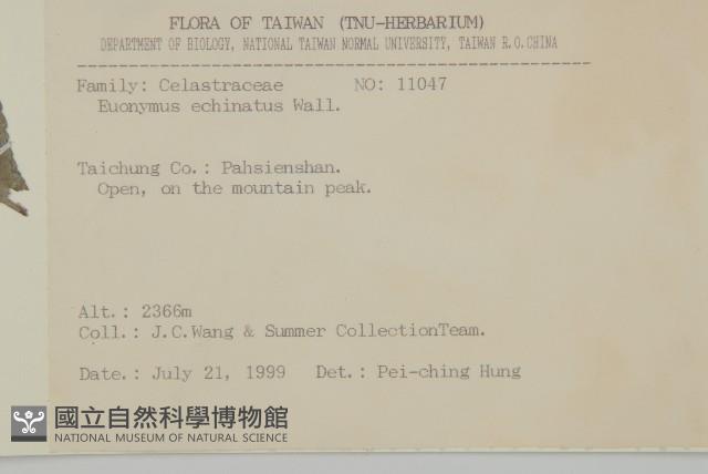 Thorny-fruit euonymus Collection Image, Figure 2, Total 2 Figures