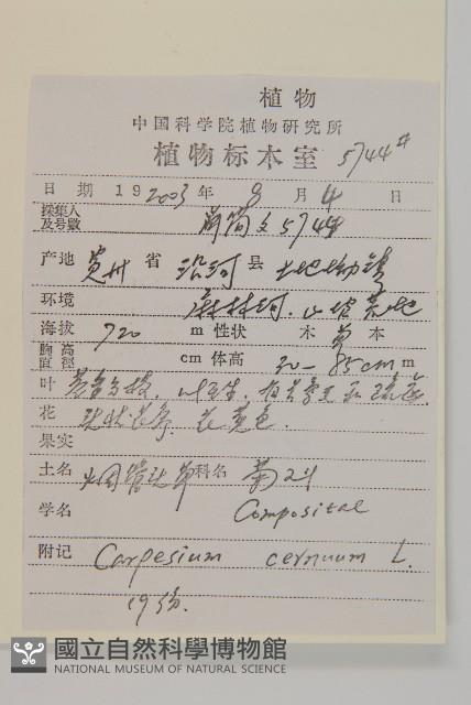 杓兒菜藏品圖，第2張