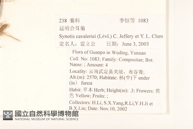 昆明合耳菊藏品圖，第2張