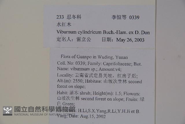 水紅木藏品圖，第2張