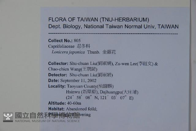 忍冬、金銀花藏品圖，第2張