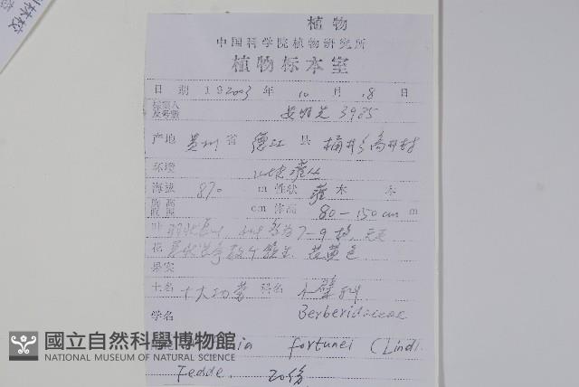 細葉十大功勞藏品圖，第2張