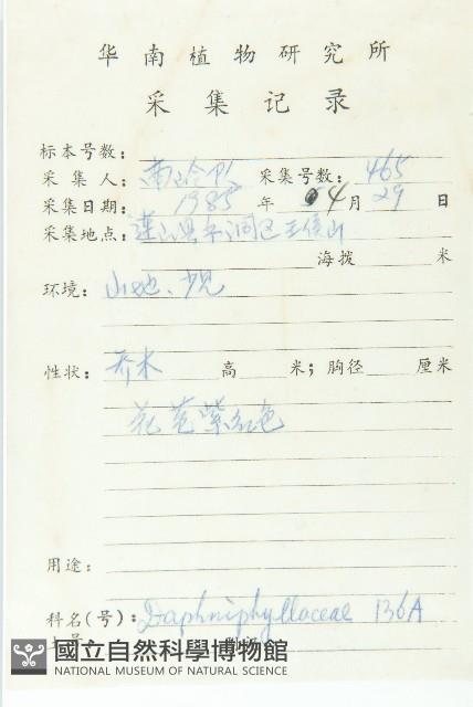 俄氏虎皮楠、蘭嶼虎皮楠、虎皮楠藏品圖，第2張