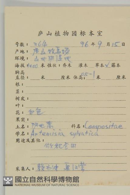 林艾蒿藏品圖，第2張