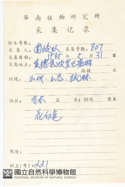 崖柿藏品圖，第2張