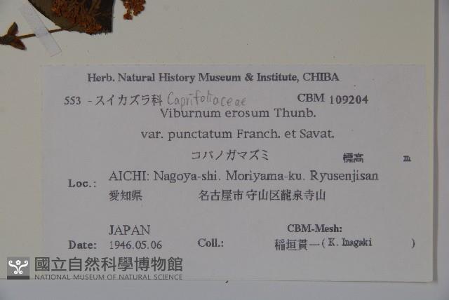 登錄號:S108026藏品圖，第2張