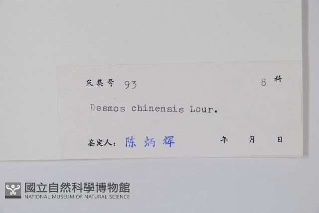 假鷹爪藏品圖，第2張