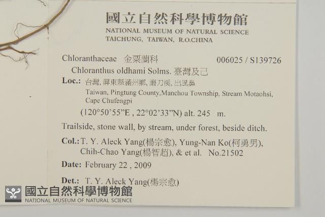 臺灣及己藏品圖，第2張