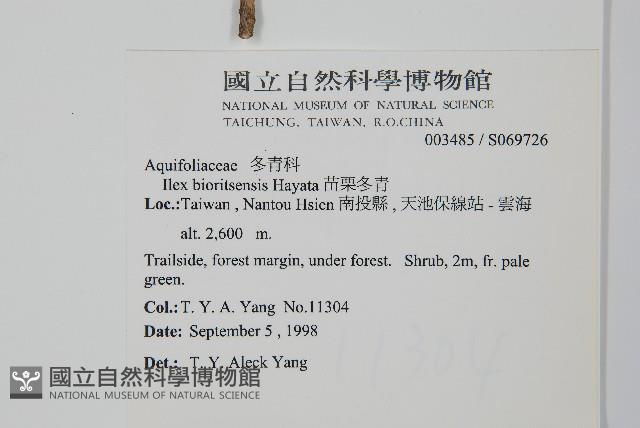 苗栗冬青藏品圖，第2張