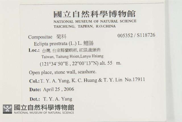 鱧腸藏品圖，第2張