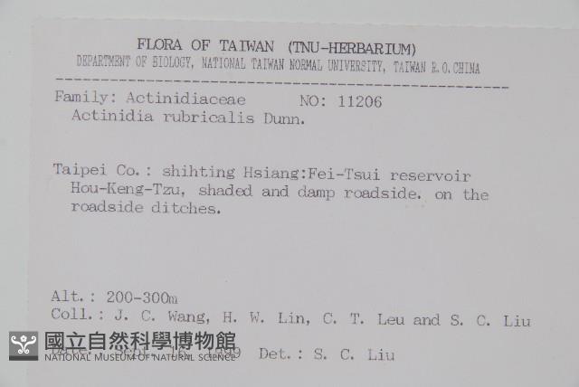 紅莖獼猴桃藏品圖，第2張