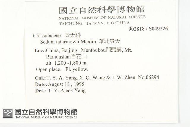 華北景天藏品圖，第2張