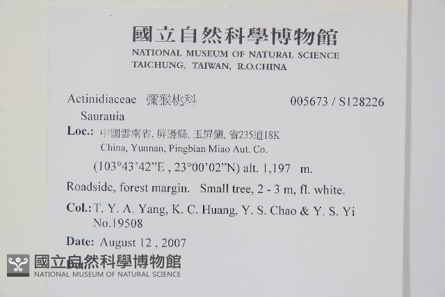 登錄號:S128226藏品圖，第2張