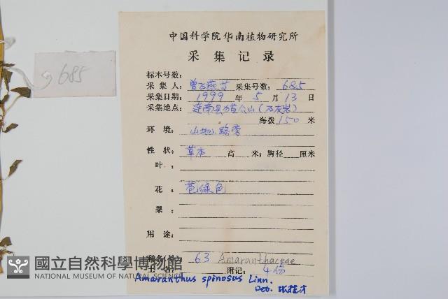 刺莧藏品圖，第2張