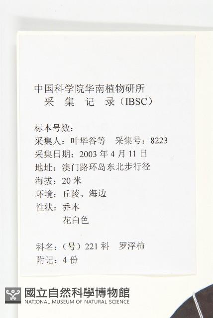 山紅柿藏品圖，第2張