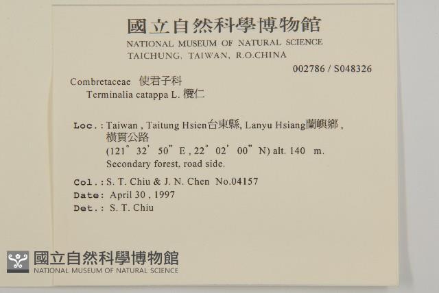 欖仁藏品圖，第2張