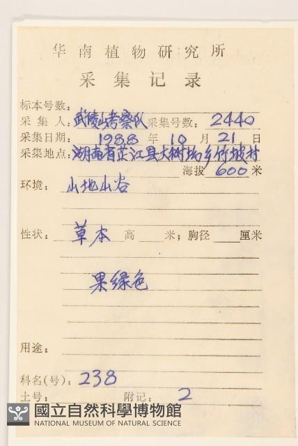 三七草藏品圖，第2張