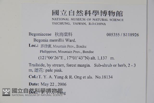 登錄號:S118926藏品圖，第2張