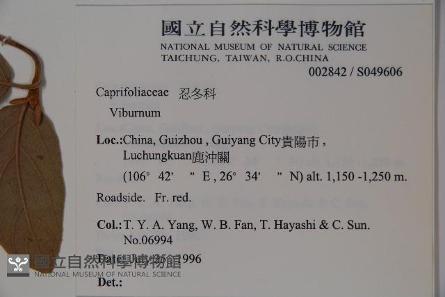 登錄號:S049606藏品圖，第2張