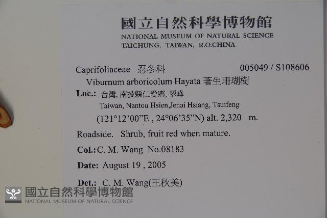 著生珊瑚樹藏品圖，第2張