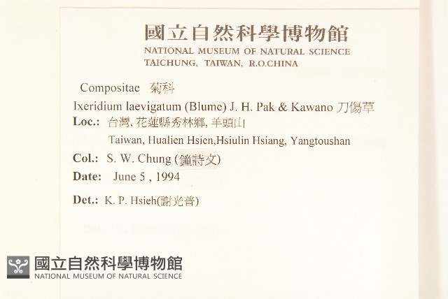 刀傷草藏品圖，第2張