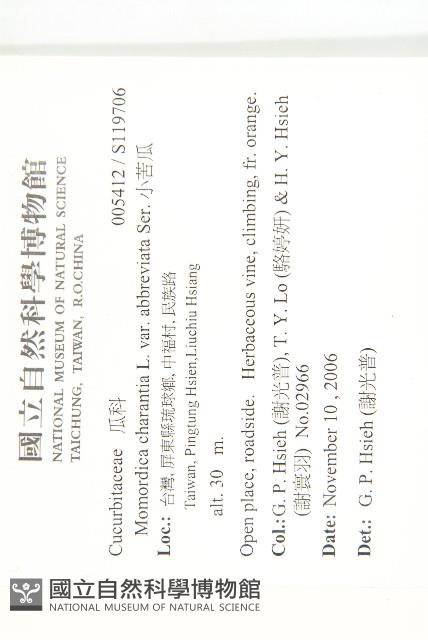 小苦瓜藏品圖，第2張