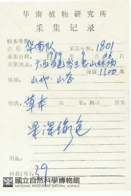 葶藶藏品圖，第2張