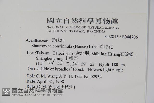 哈哼花藏品圖，第2張