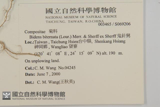 鬼針舅藏品圖，第2張