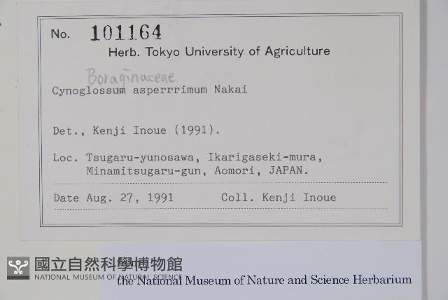 登錄號:S128206藏品圖，第2張